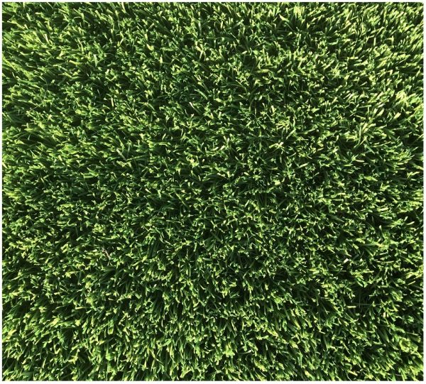 Platinum Synthetic Grass Ph 1800055172 Rex Turf