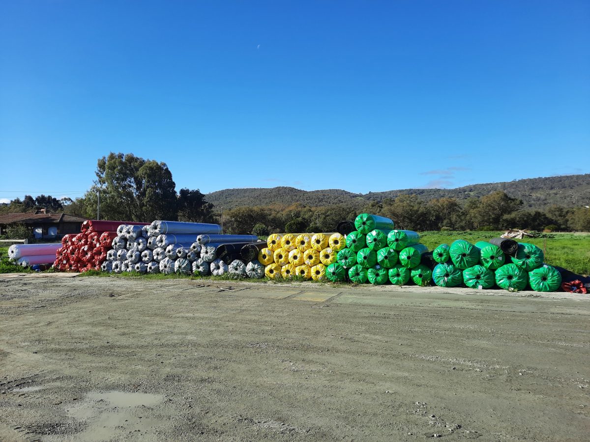 Wholesale Artificial Lawn Perth Ph 1800055172 Rex Turf